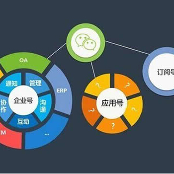 濟(jì)南路行網(wǎng)絡(luò)軟件開發(fā) 企業(yè)數(shù)字化轉(zhuǎn)型中的得力伙伴